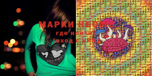 прущие грибы Алексин