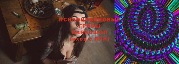 скорость Алзамай