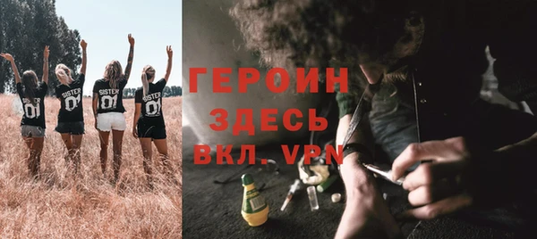 гидра Алексеевка